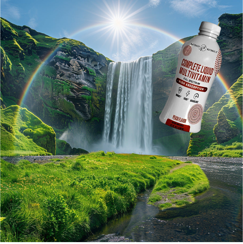 Vites.com