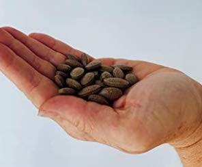 Kidney Rejuvenator, 90 Tablets - Vites.com