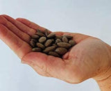 Kidney Rejuvenator, 90 Tablets - Vites.com