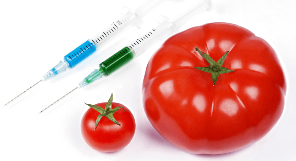 Want to Feel Better? Stop Eating GMO Foods