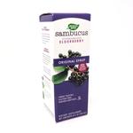 Sambucus Black Elderberry Syrup By Nature's Way 8 Ounces - Vites.com