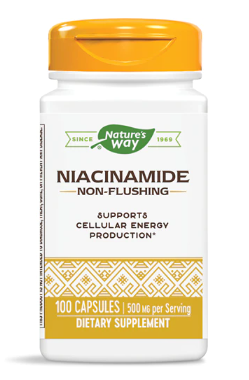 Nature's Way Niacinamide -- 500 mg - 100 Capsules - Vites.com