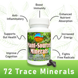 Plant-Sourced Trace Minerals - Vites.com